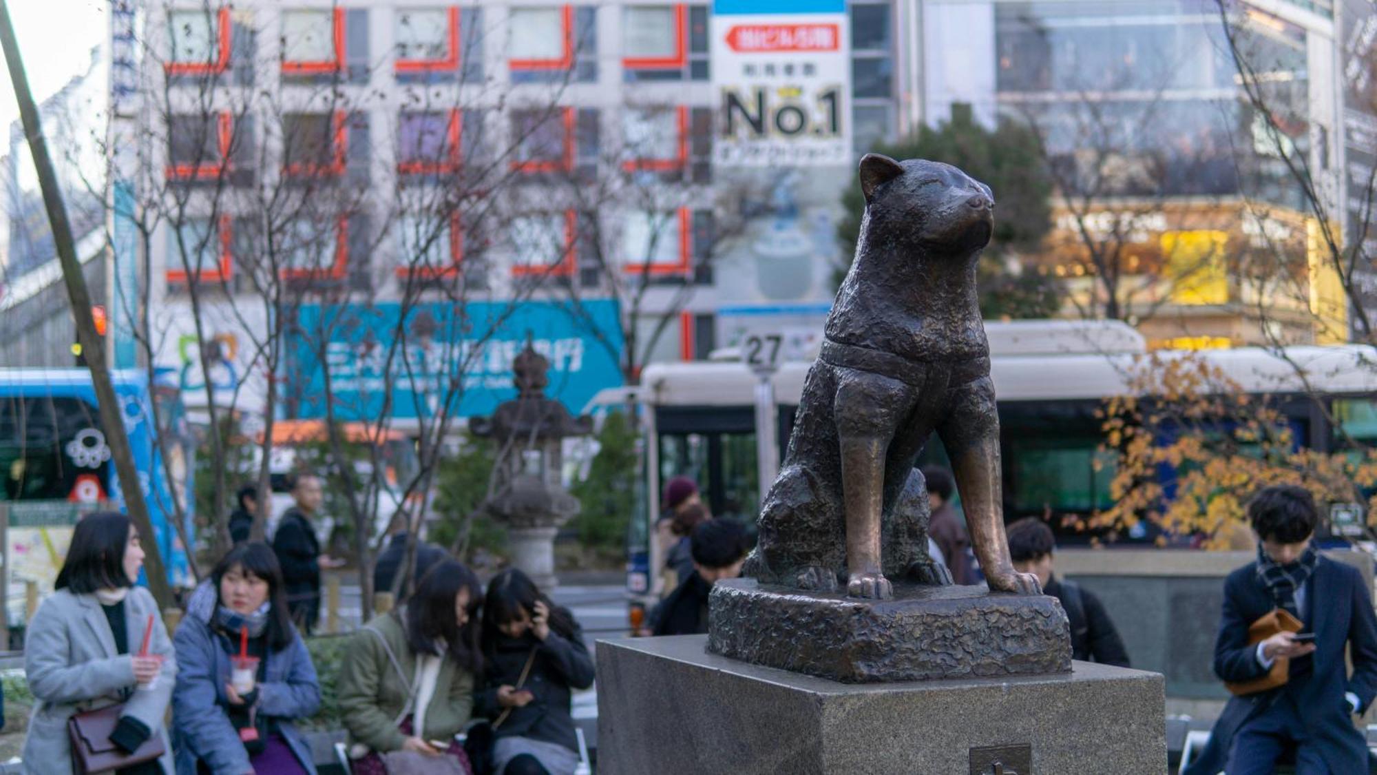 Illi Mani Shibuya